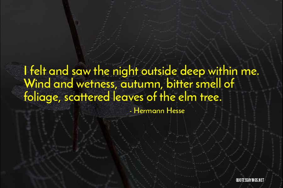 Wind Tree Quotes By Hermann Hesse Wind Tree Quotes By Hermann Hesse