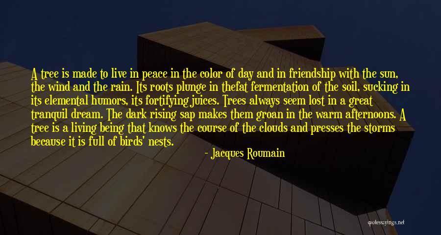 Wind Tree Quotes By Jacques Roumain Wind Tree Quotes By Jacques Roumain