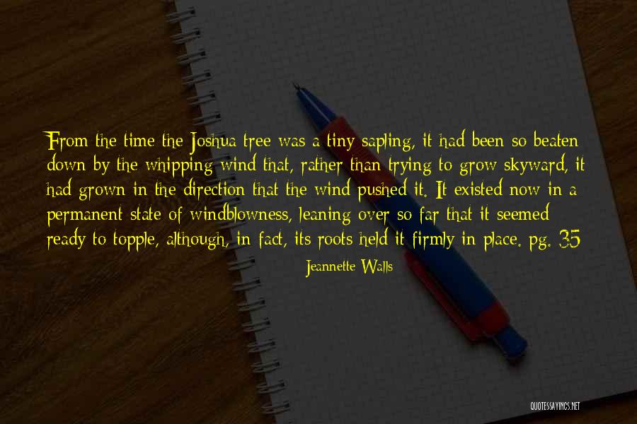Wind Tree Quotes By Jeannette Walls Wind Tree Quotes By Jeannette Walls
