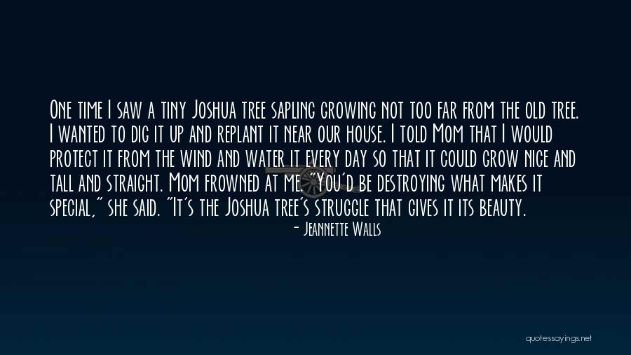Wind Tree Quotes By Jeannette Walls Wind Tree Quotes By Jeannette Walls