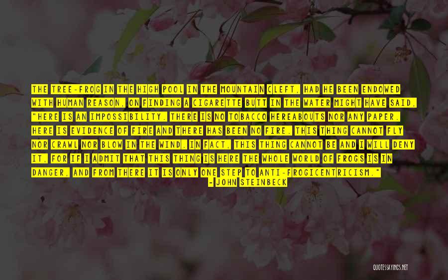Wind Tree Quotes By John Steinbeck Wind Tree Quotes By John Steinbeck