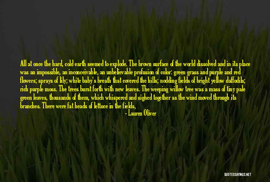 Wind Tree Quotes By Lauren Oliver Wind Tree Quotes By Lauren Oliver