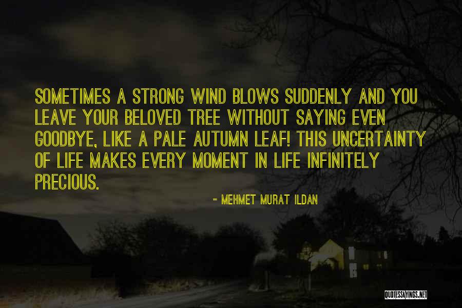 Wind Tree Quotes By Mehmet Murat Ildan Wind Tree Quotes By Mehmet Murat Ildan