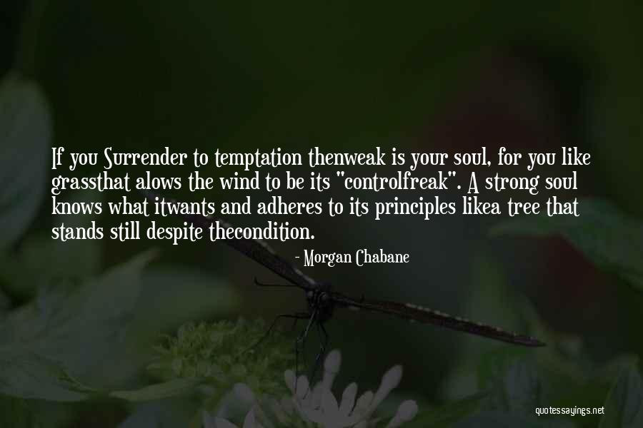 Wind Tree Quotes By Morgan Chabane Wind Tree Quotes By Morgan Chabane
