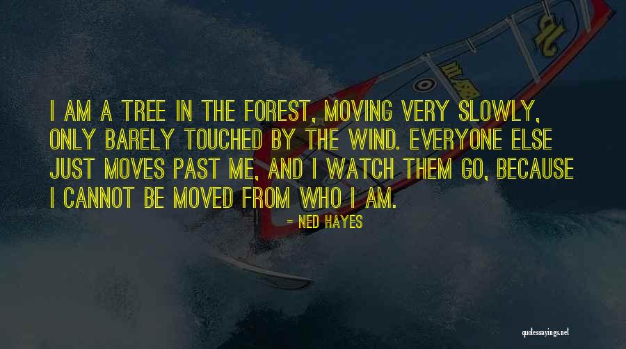 Wind Tree Quotes By Ned Hayes Wind Tree Quotes By Ned Hayes