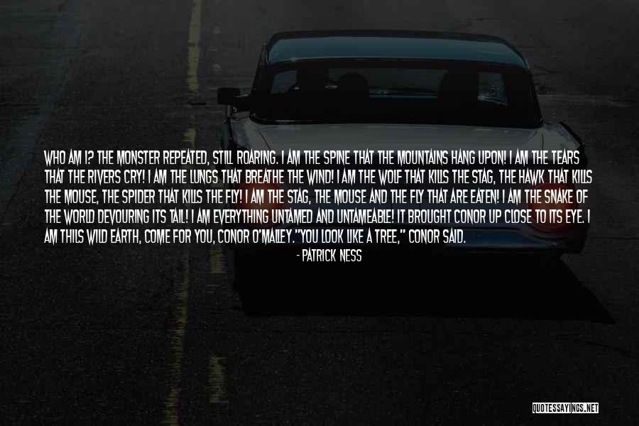 Wind Tree Quotes By Patrick Ness Wind Tree Quotes By Patrick Ness