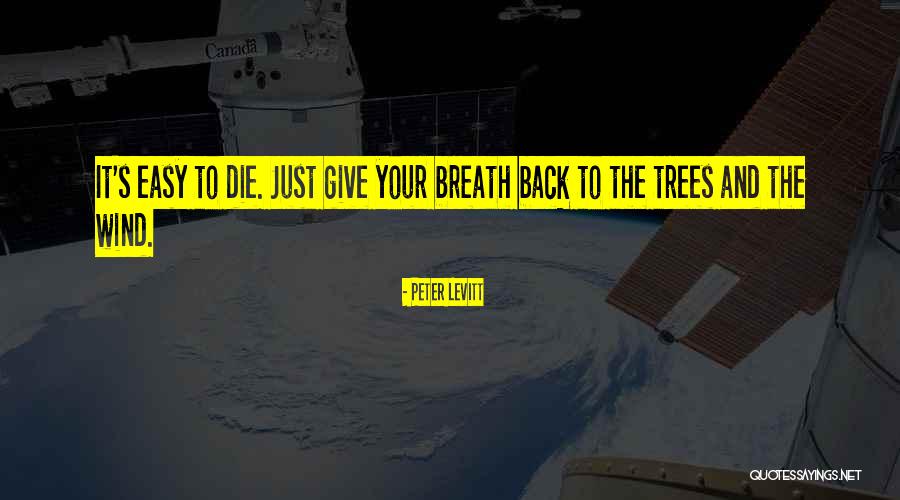 Wind Tree Quotes By Peter Levitt Wind Tree Quotes By Peter Levitt