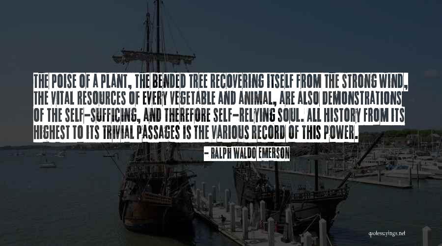 Wind Tree Quotes By Ralph Waldo Emerson Wind Tree Quotes By Ralph Waldo Emerson