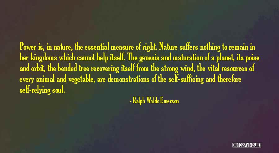 Wind Tree Quotes By Ralph Waldo Emerson Wind Tree Quotes By Ralph Waldo Emerson