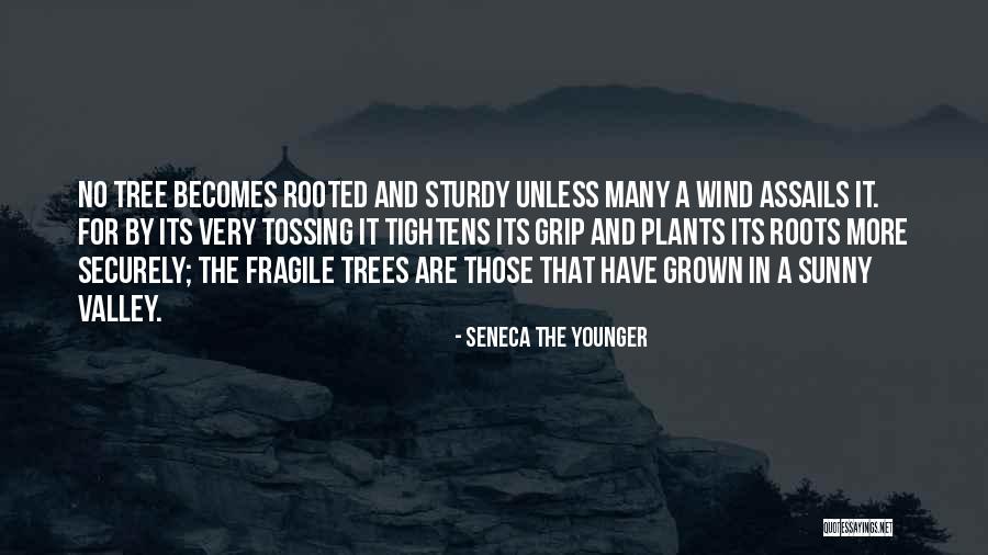 Wind Tree Quotes By Seneca The Younger Wind Tree Quotes By Seneca The Younger