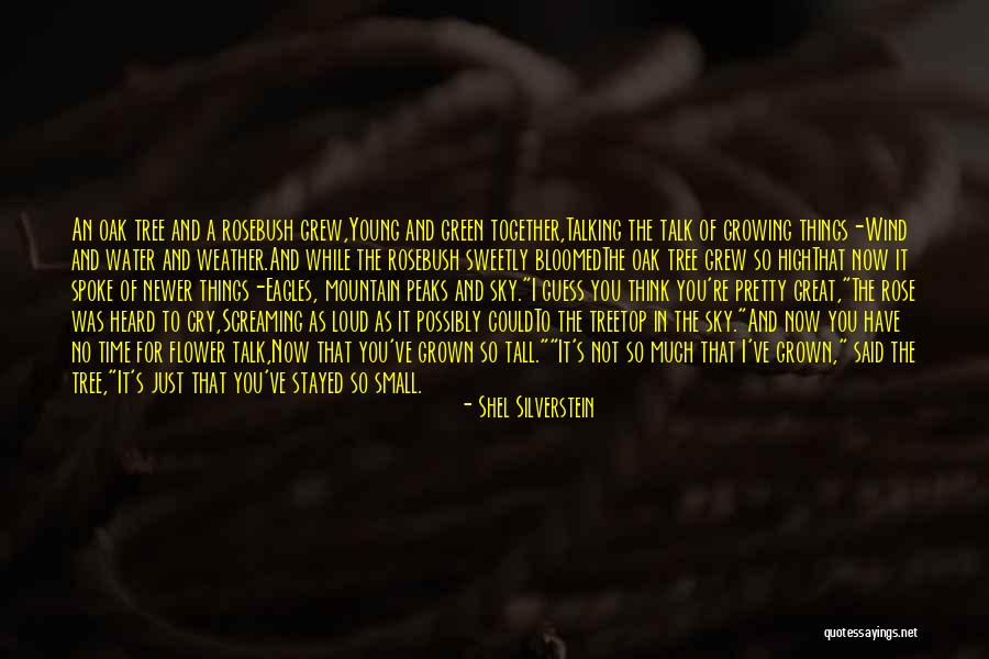 Wind Tree Quotes By Shel Silverstein Wind Tree Quotes By Shel Silverstein