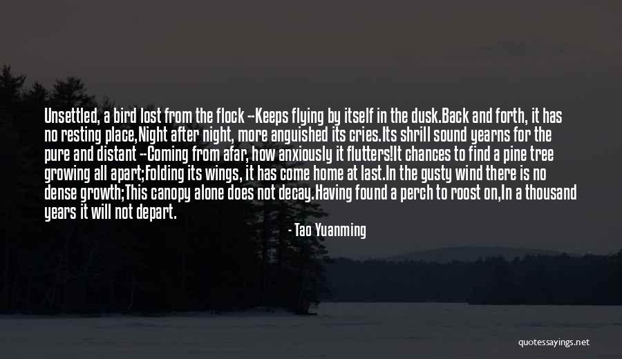 Wind Tree Quotes By Tao Yuanming Wind Tree Quotes By Tao Yuanming