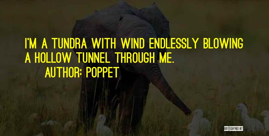 Wind Tunnel Quotes By Poppet