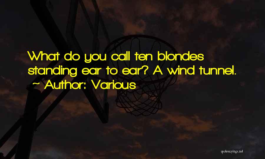 Wind Tunnel Quotes By Various