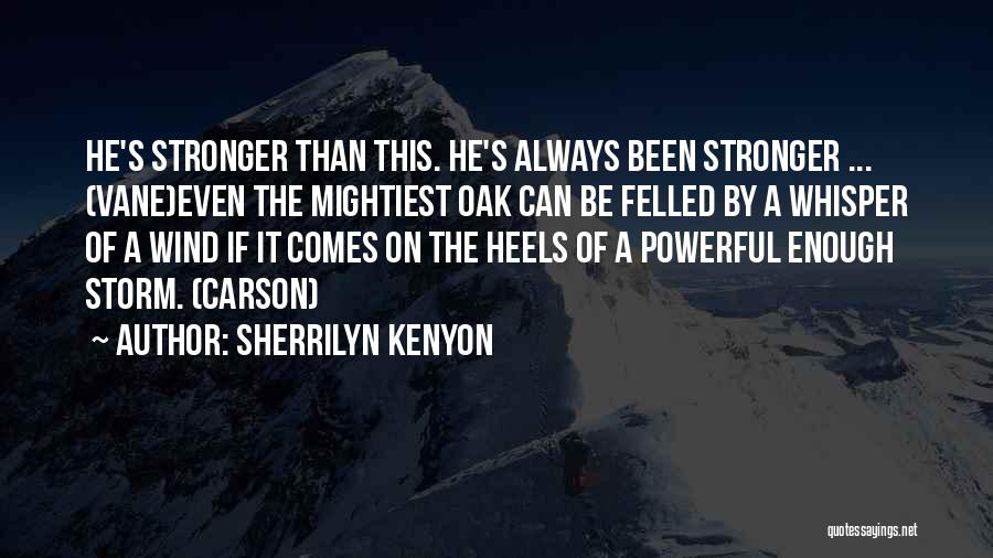 Wind Vane Quotes By Sherrilyn Kenyon