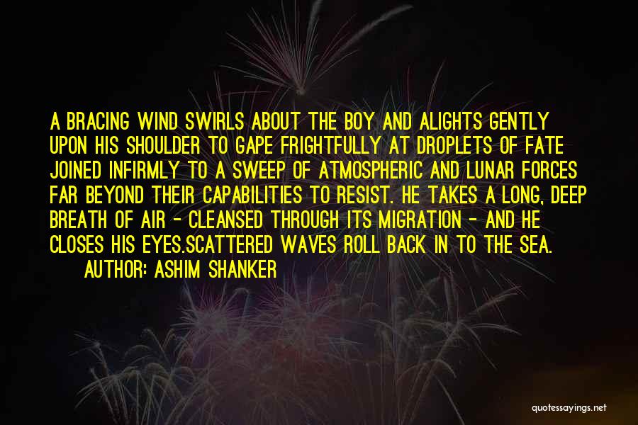 Wind Waves Quotes By Ashim Shanker