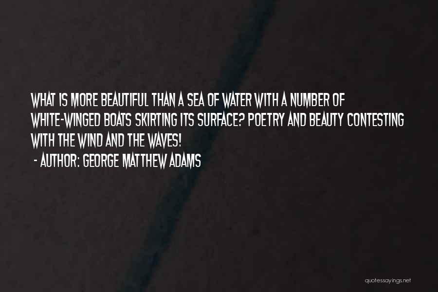 Wind Waves Quotes By George Matthew Adams