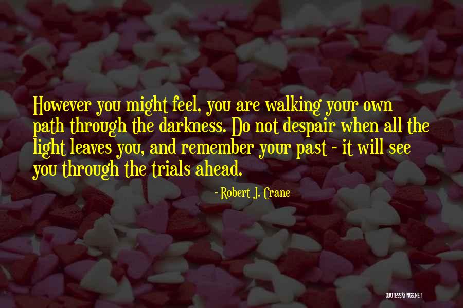 Windahls Quotes By Robert J. Crane Windahls Quotes By Robert J. Crane