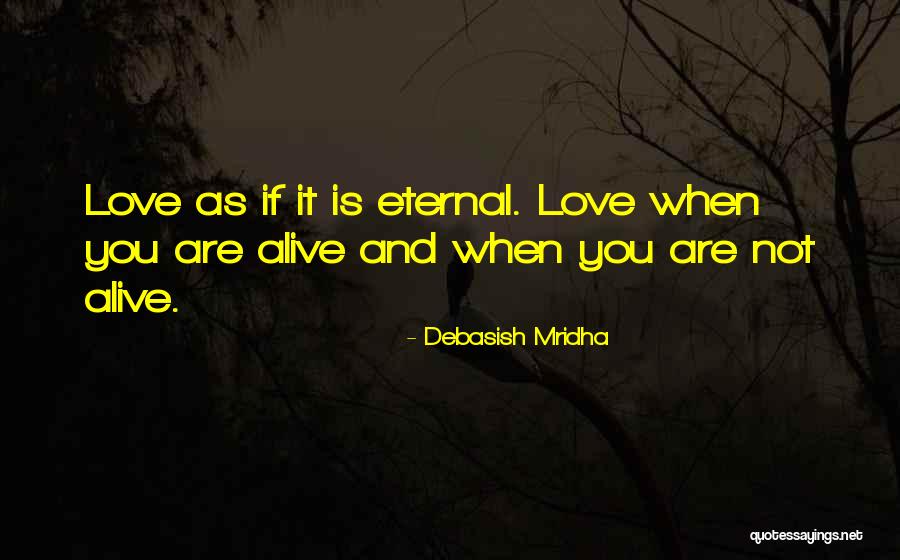 Windex Ingredients Quotes By Debasish Mridha
