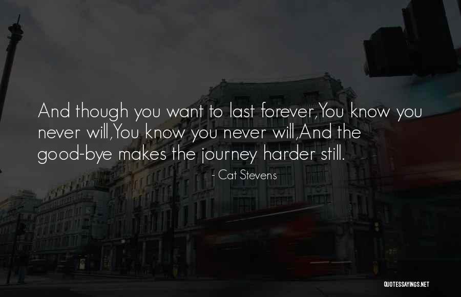 Windfeldt Room Quotes By Cat Stevens Windfeldt Room Quotes By Cat Stevens