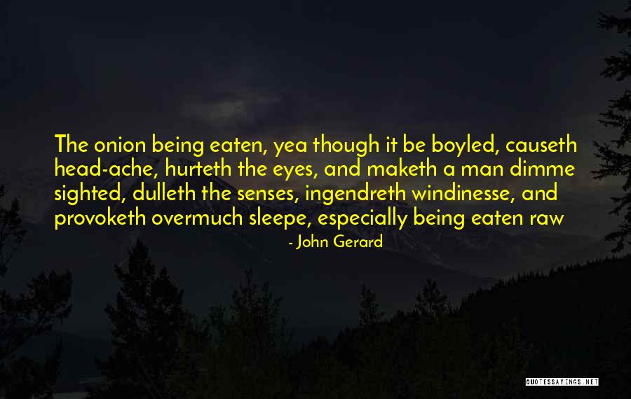 Windinesse Quotes By John Gerard Windinesse Quotes By John Gerard