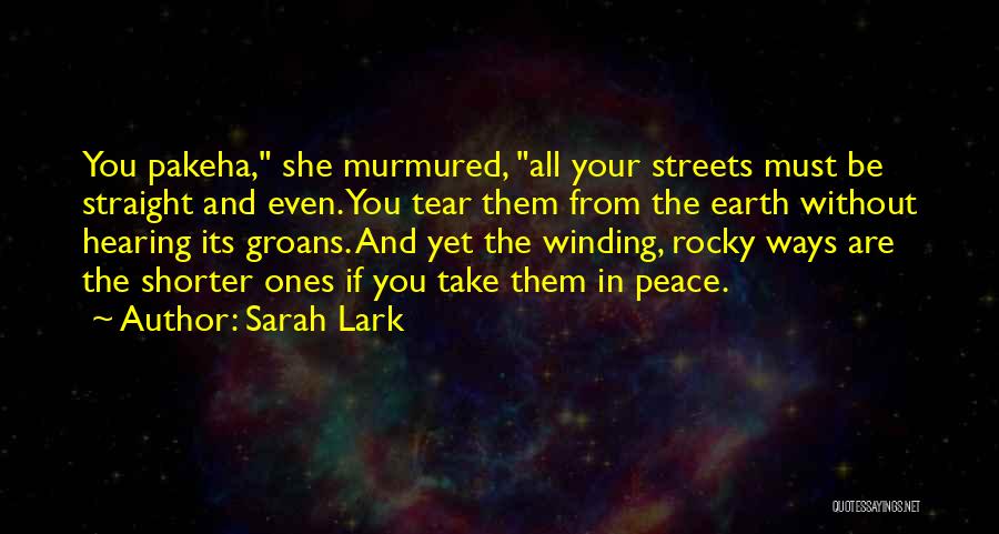 Winding Quotes By Sarah Lark