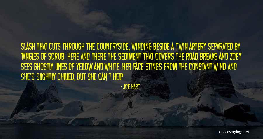 Winding Road Quotes By Joe Hart