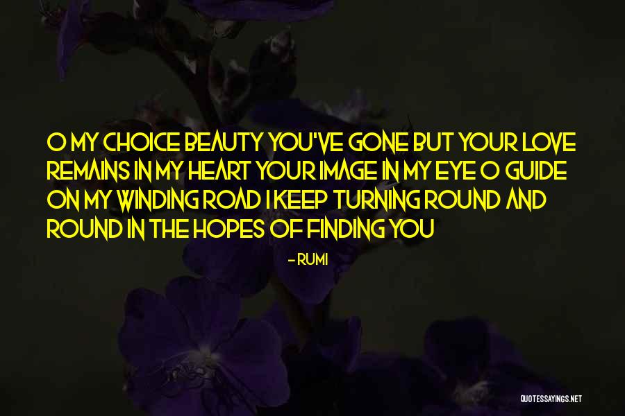 Winding Road Quotes By Rumi