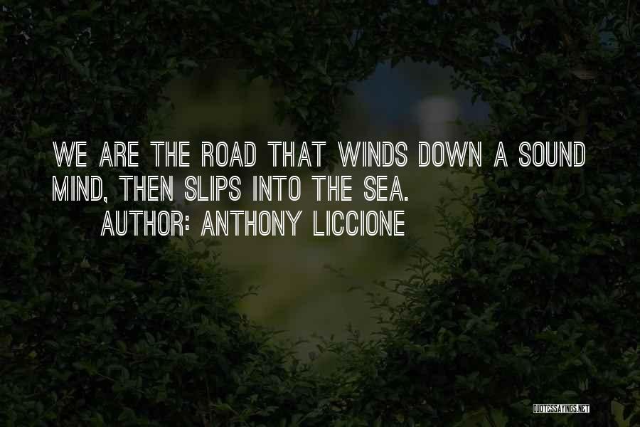 Winding Roads Quotes By Anthony Liccione