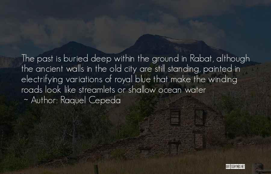Winding Roads Quotes By Raquel Cepeda