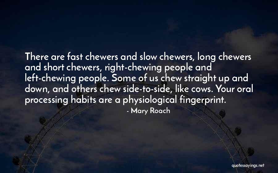 Windmill Animal Farm Quotes By Mary Roach Windmill Animal Farm Quotes By Mary Roach