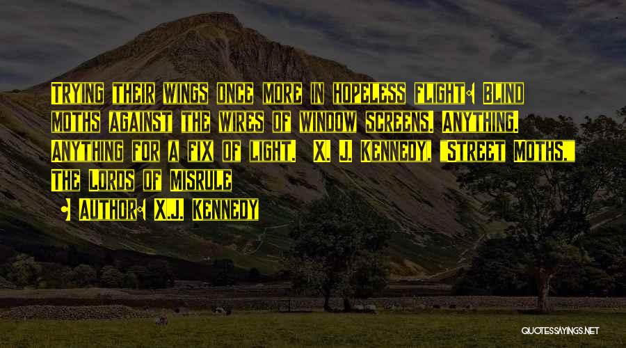 Window Light Quotes By X.J. Kennedy