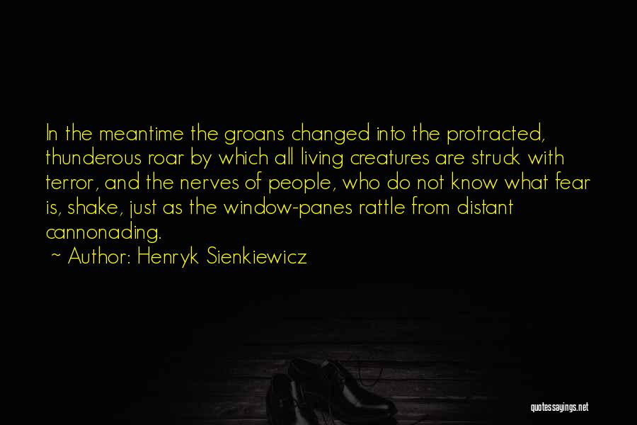 Window Panes Quotes By Henryk Sienkiewicz