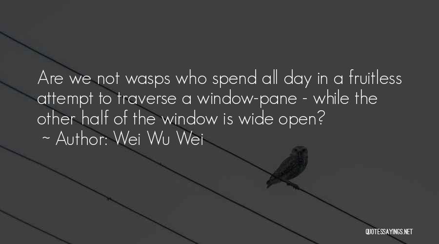 Window Panes Quotes By Wei Wu Wei
