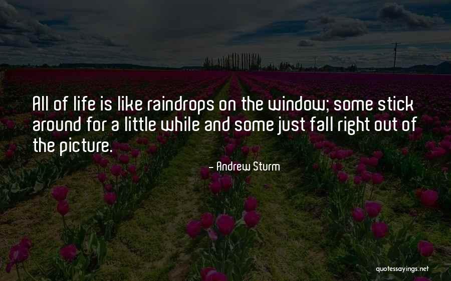 Window Quotes By Andrew Sturm Window Quotes By Andrew Sturm