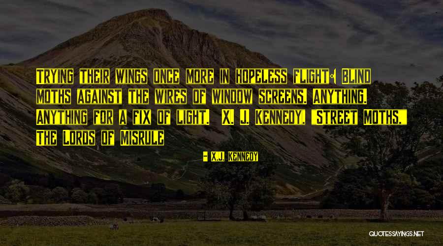 Window Quotes By X.J. Kennedy Window Quotes By X.J. Kennedy