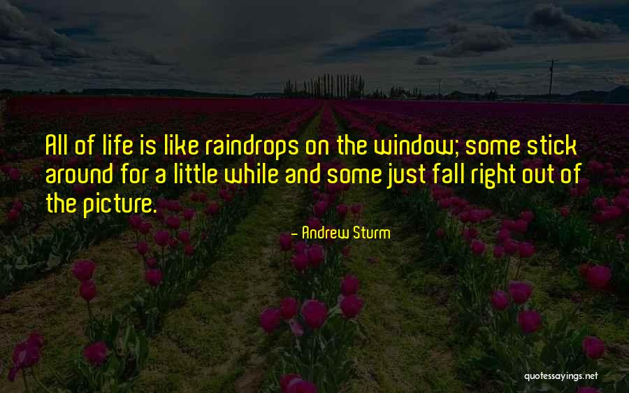 Window Quotes Quotes By Andrew Sturm Window Quotes Quotes By Andrew Sturm
