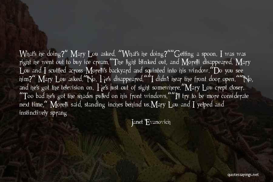 Window Shades Quotes By Janet Evanovich Window Shades Quotes By Janet Evanovich