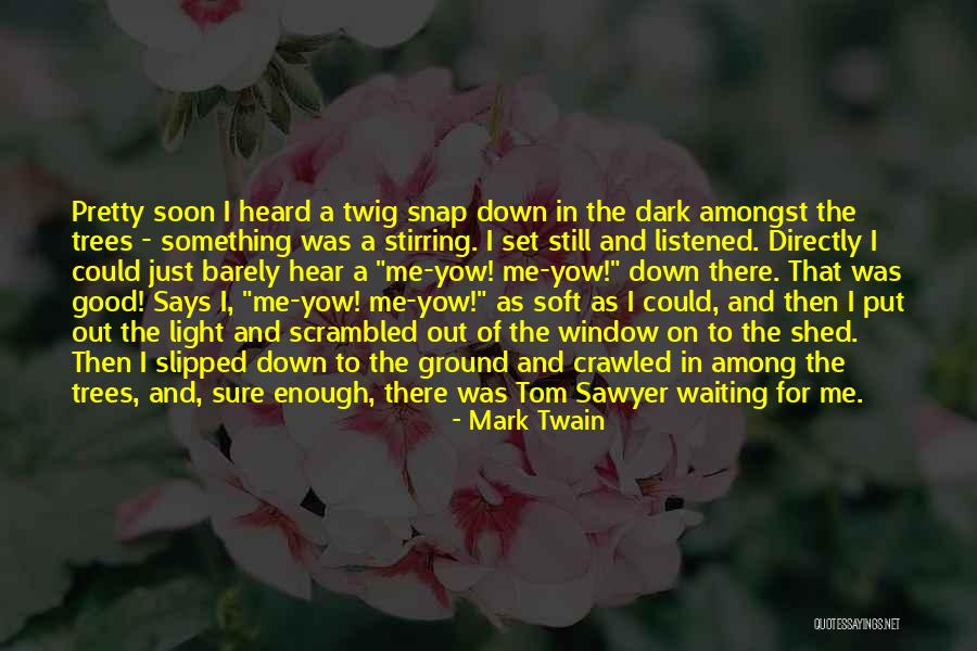 Window Shed Quotes By Mark Twain Window Shed Quotes By Mark Twain
