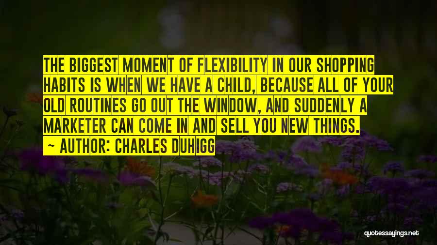 Window Shopping Quotes By Charles Duhigg