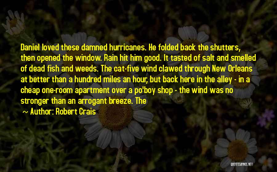 Window Shutters Quotes By Robert Crais