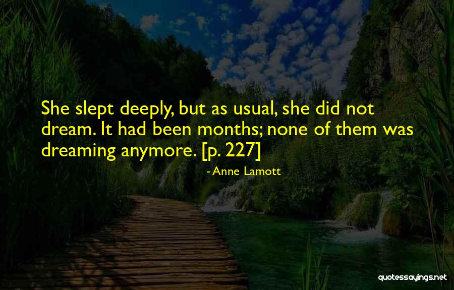Window Sun Protection Quotes By Anne Lamott Window Sun Protection Quotes By Anne Lamott