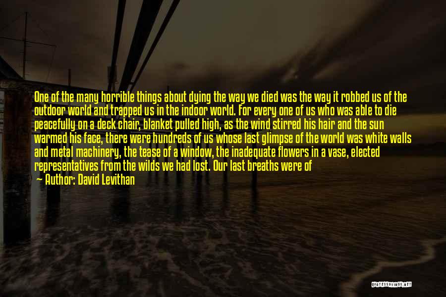 Window Sun Quotes By David Levithan