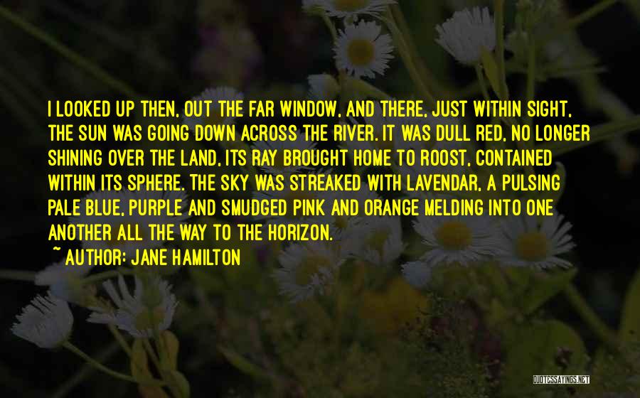 Window Sun Quotes By Jane Hamilton