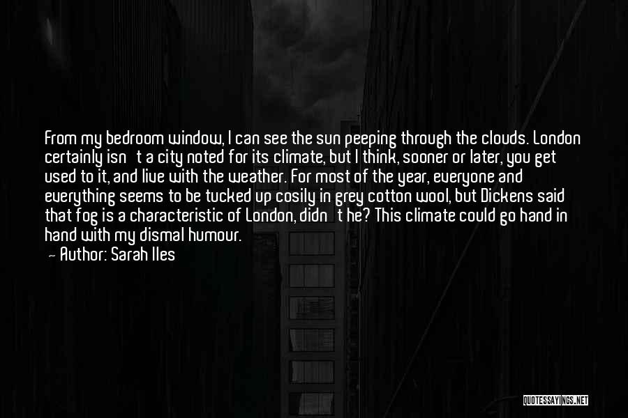 Window Sun Quotes By Sarah Iles
