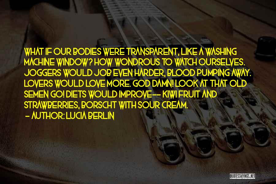 Window Washing Quotes By Lucia Berlin