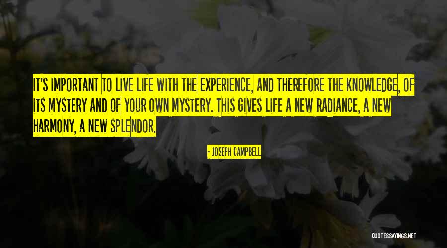 Windowless Van Quotes By Joseph Campbell Windowless Van Quotes By Joseph Campbell