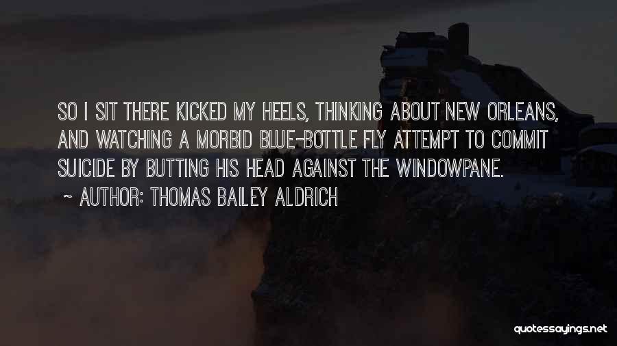 Windowpane Quotes By Thomas Bailey Aldrich