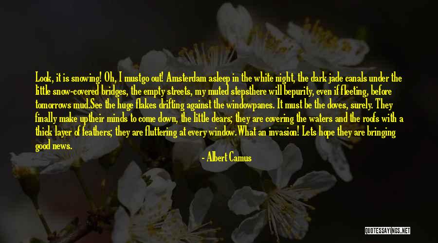 Windowpanes Quotes By Albert Camus Windowpanes Quotes By Albert Camus