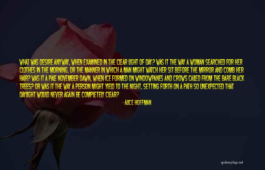 Windowpanes Quotes By Alice Hoffman Windowpanes Quotes By Alice Hoffman